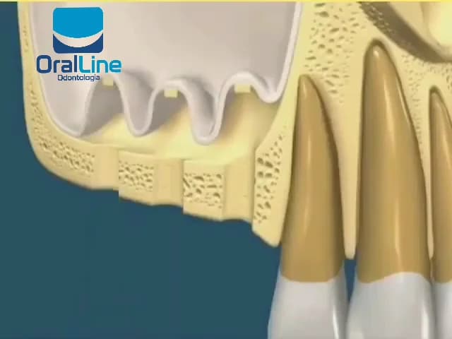 Oral Line Odontologia – foto 2