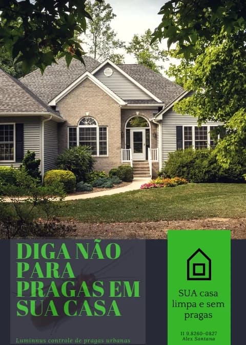 Luminnus controle de pragas urbanas – foto 3