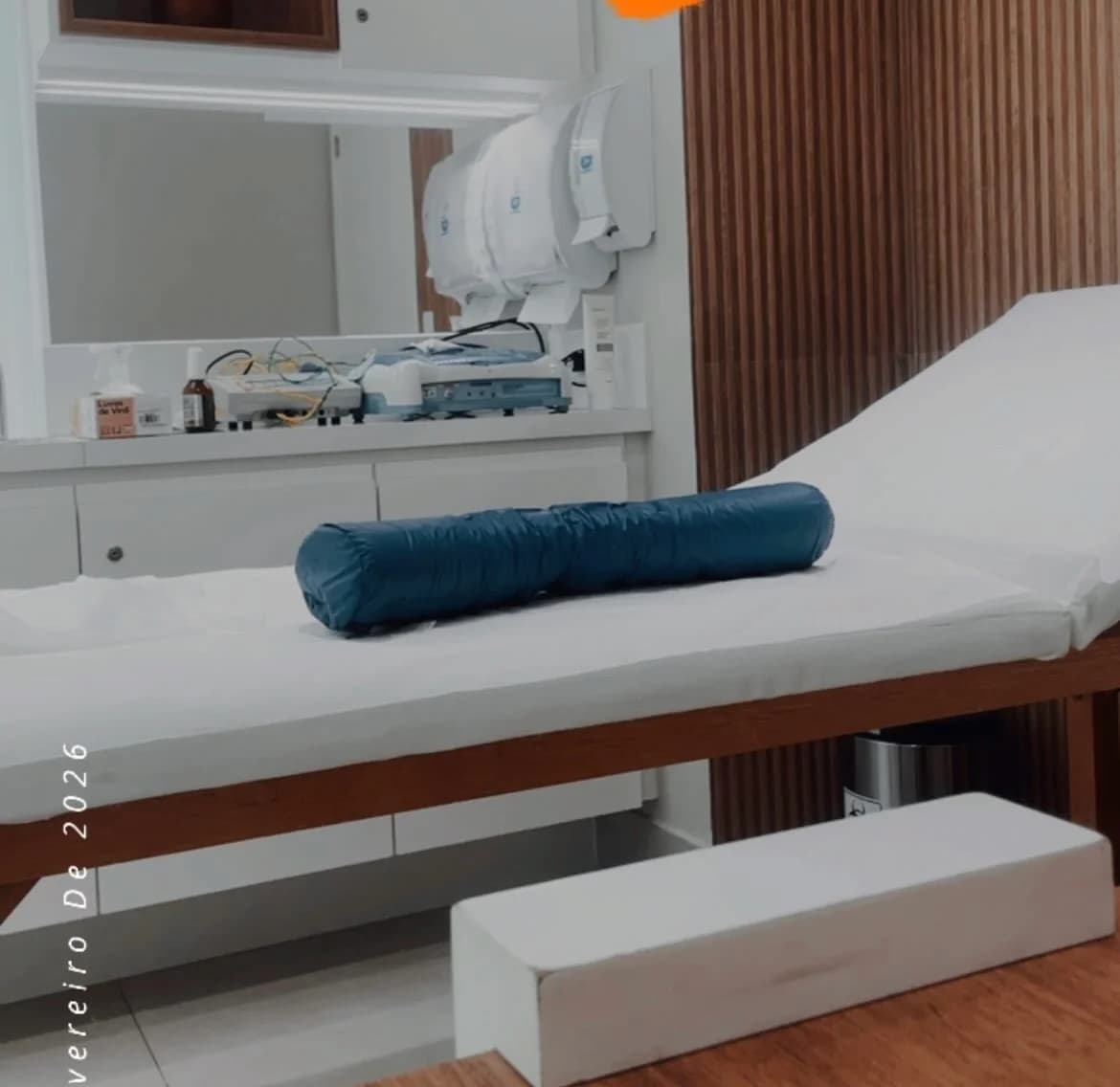 Maria Vasconcellos- Fisioterapia Pélvica e movimento