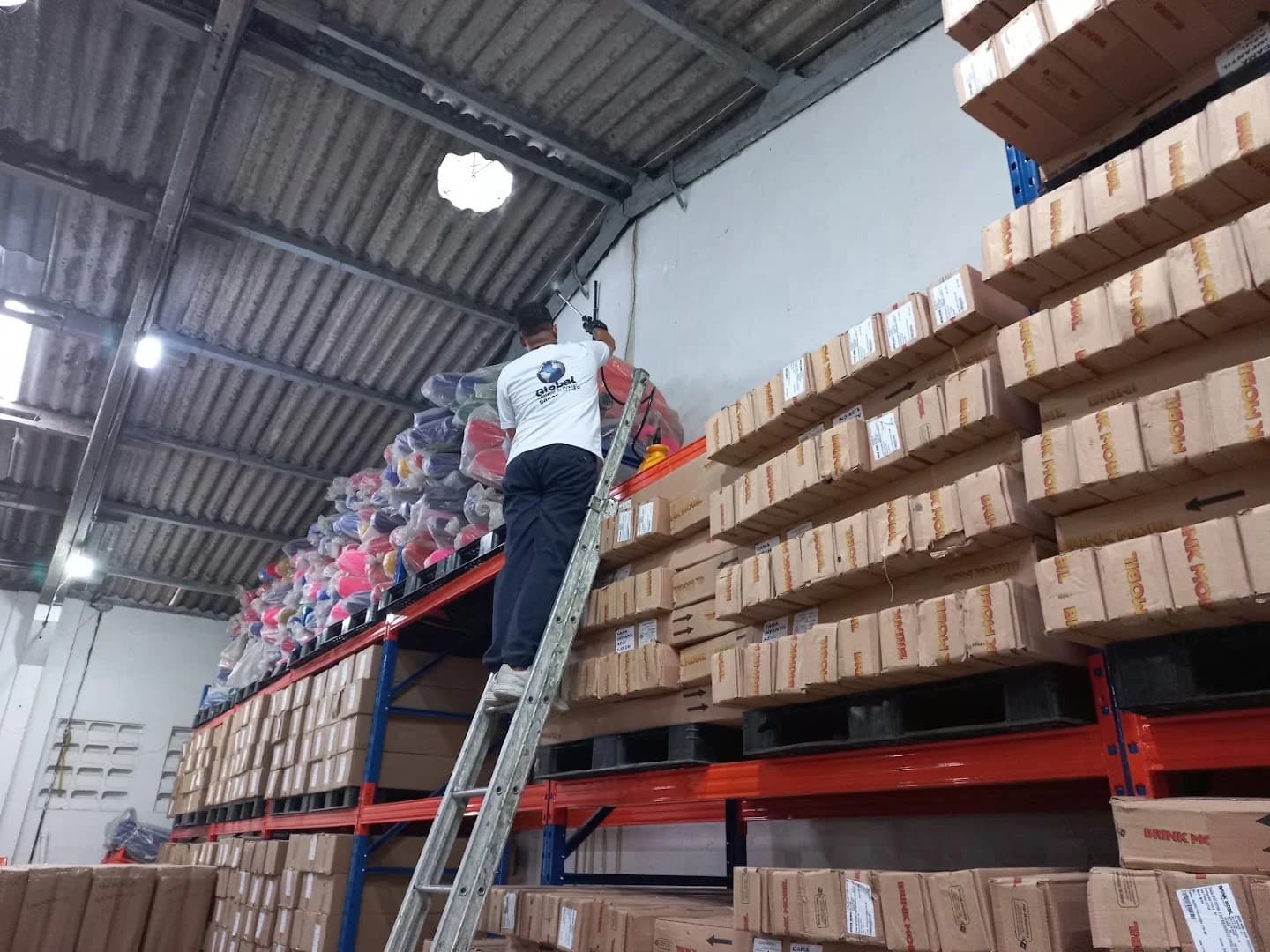 Global controle de pragas dedetização – foto 3