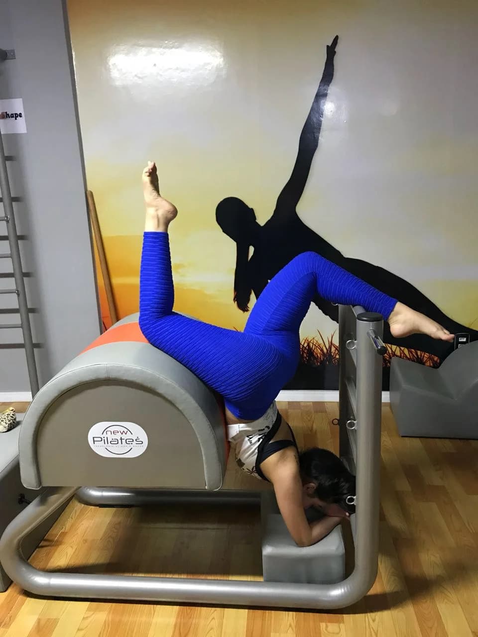 Studio Body in Shape