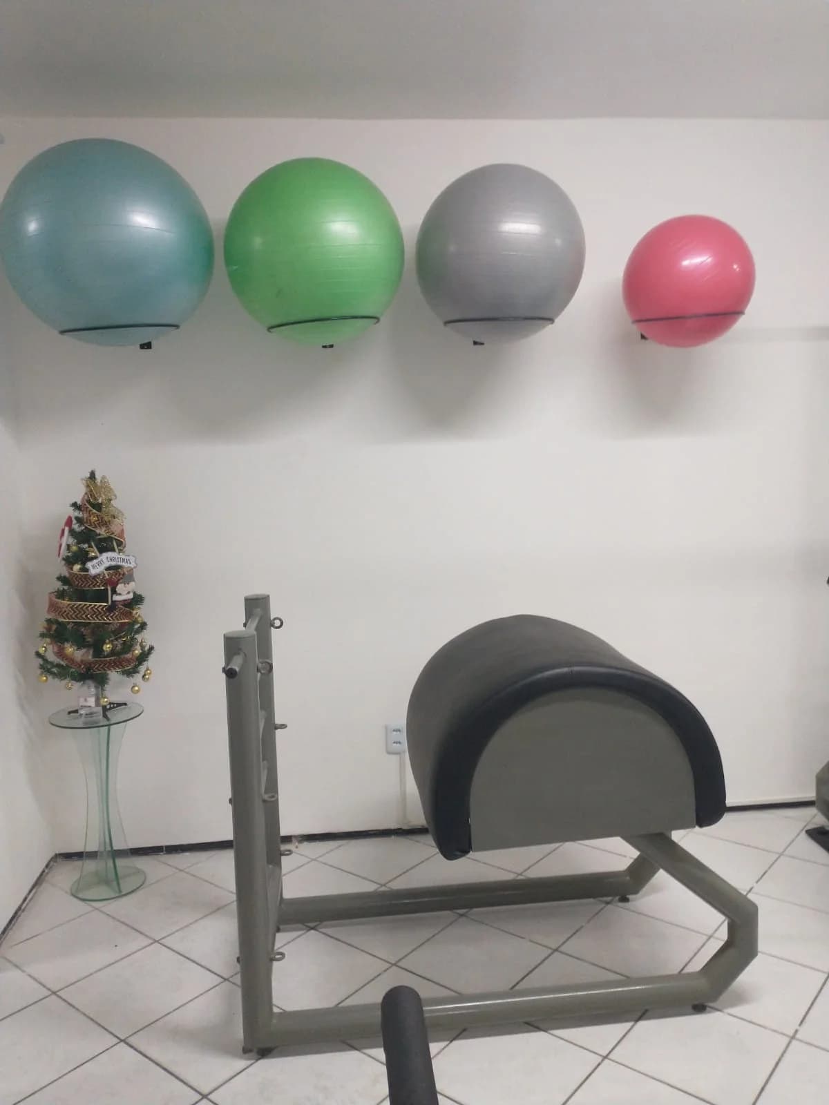 Espaço Carla Carvalho - Pilates & Fisioterapia