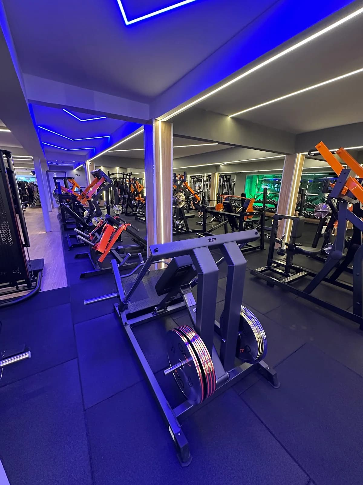 Academia Cia do Corpo Concept