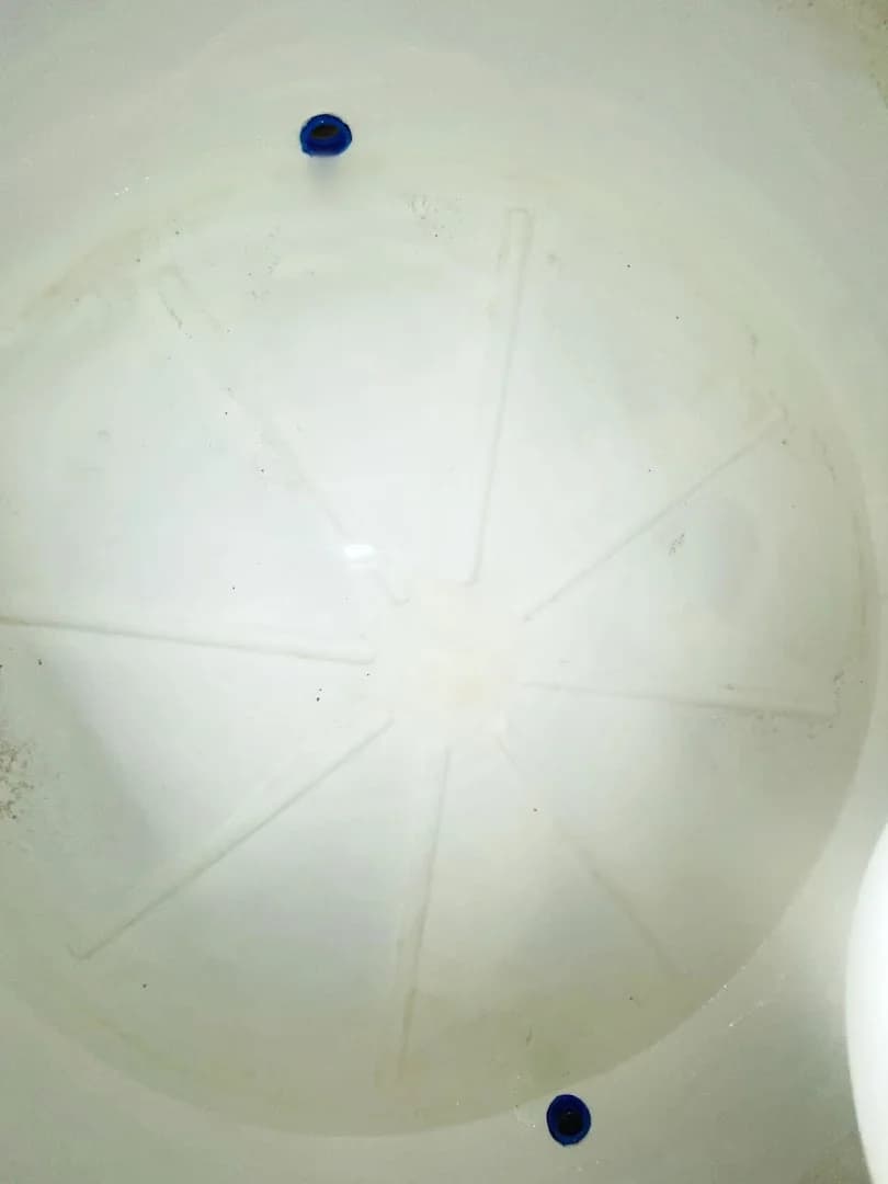 SERVIÇOSSP AMBIENTAL - Limpeza de Caixa d'Água, Dedetização, Desentupimento – foto 1
