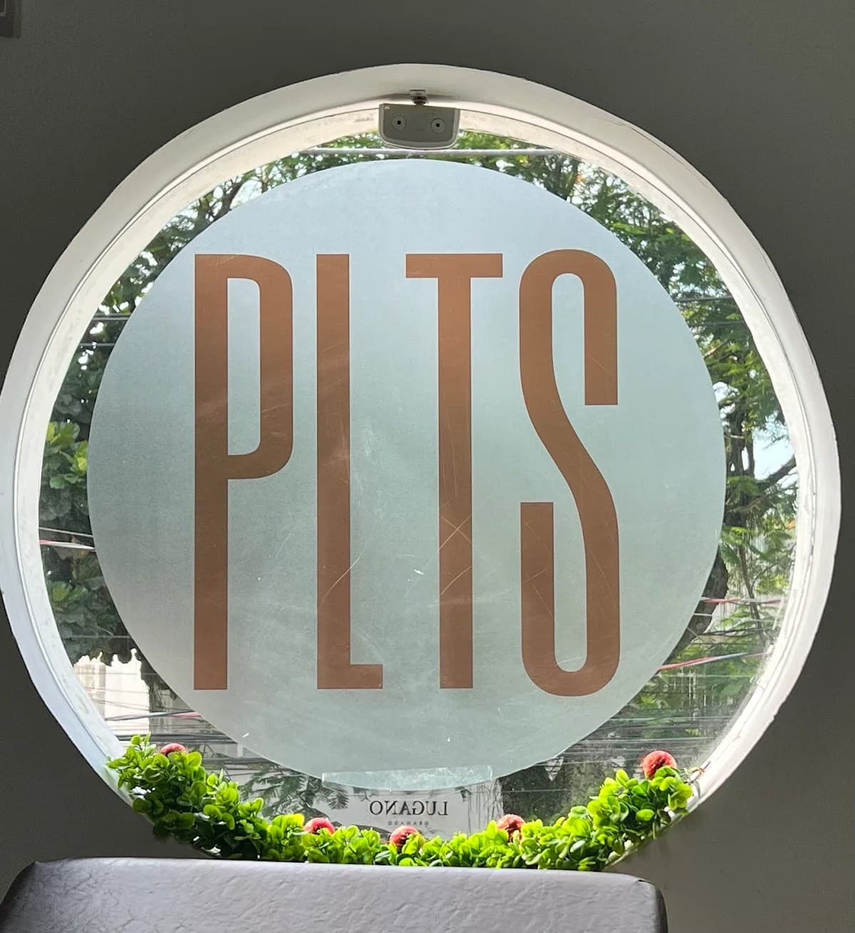 PLTS STUDIO – foto 1