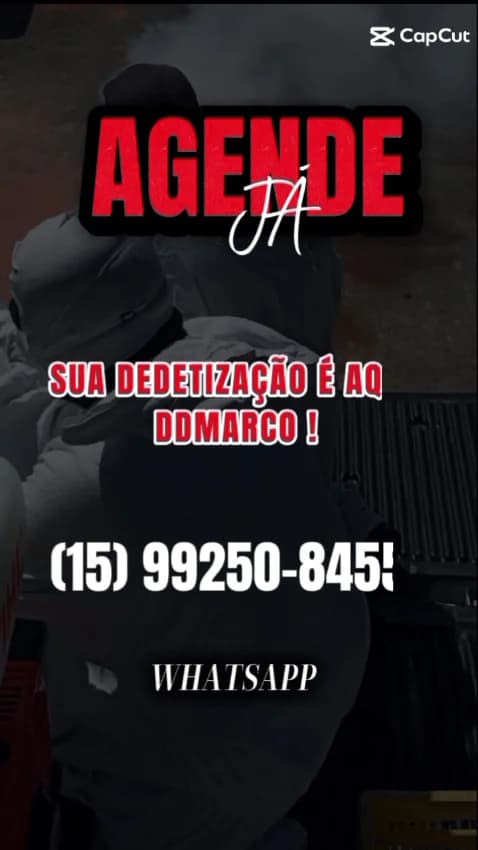DD Marco Controle de pragas – foto 2