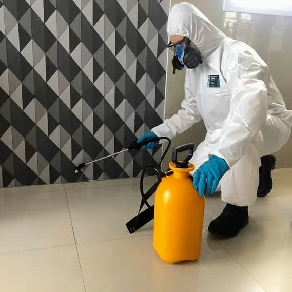 BIOS DEDETIZADORA ESPECIALIZADA – foto 3
