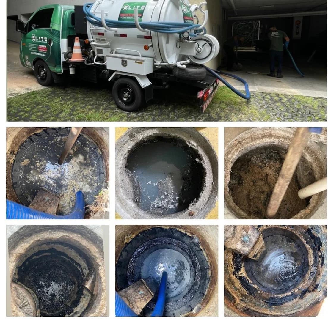 Elite Desentupidora e Dedetizadora – foto 2