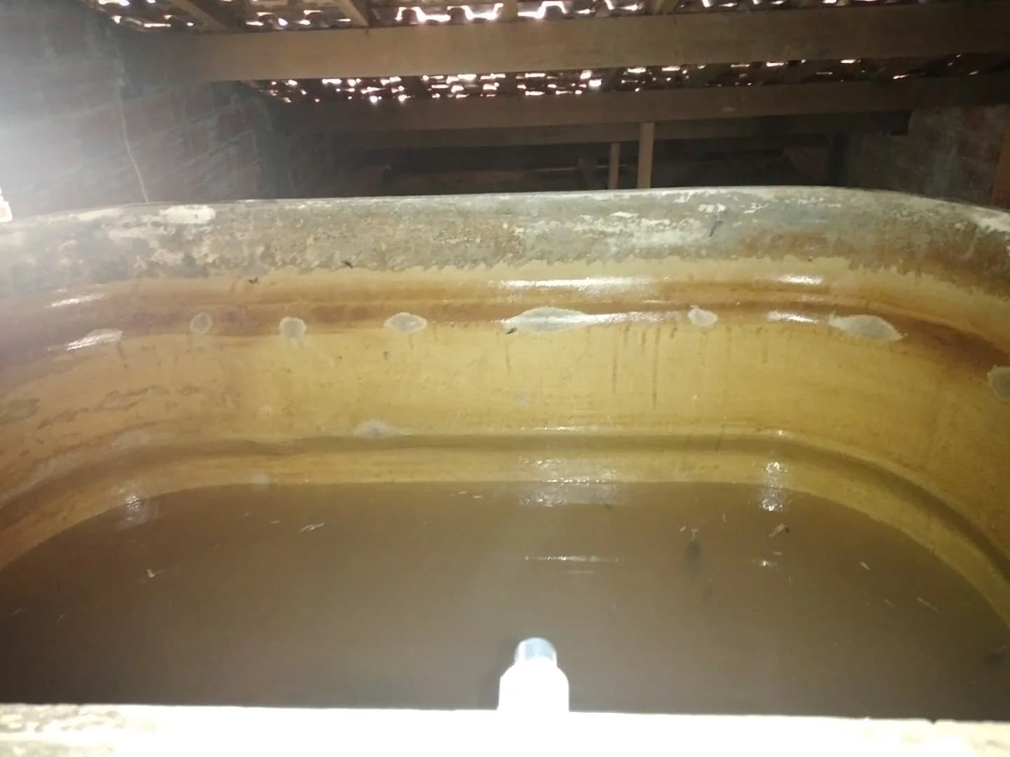 E. D. AMBIENTAL CONTROLE DE PRAGAS URBANAS. – foto 3