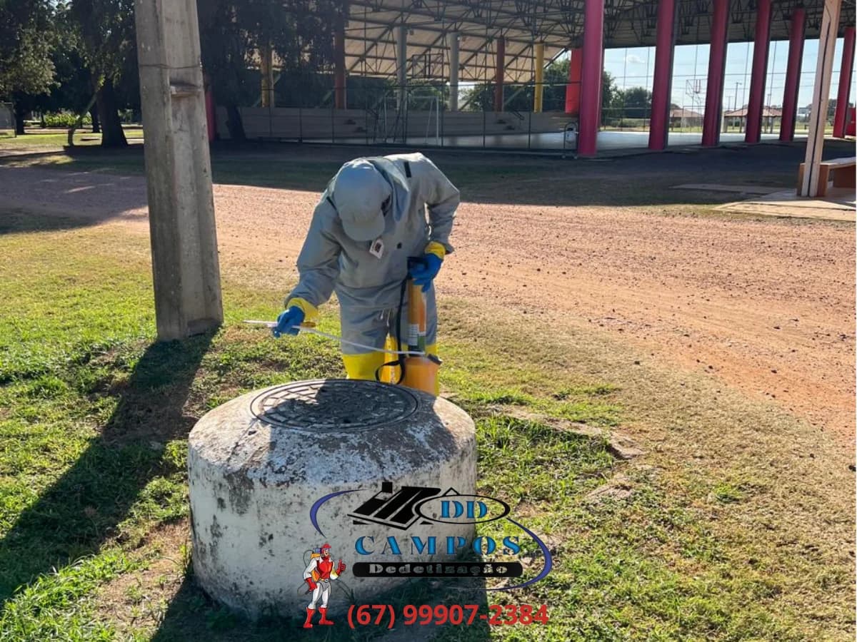🦂 DDCAMPOS Dedetizadora | Dedetização – foto 2