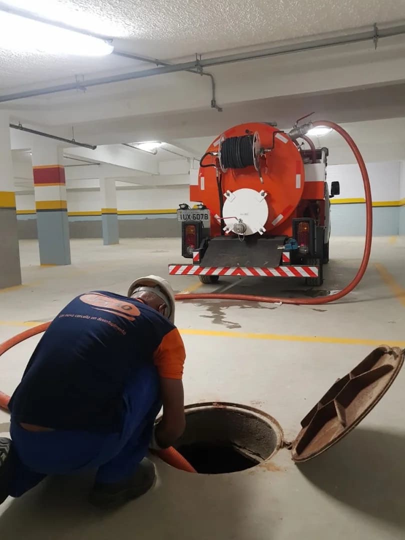 Opção dedetizadora RJ - Dedetização em geral ( rato, cupim, barata, formiga, moscas e mais...) – foto 2