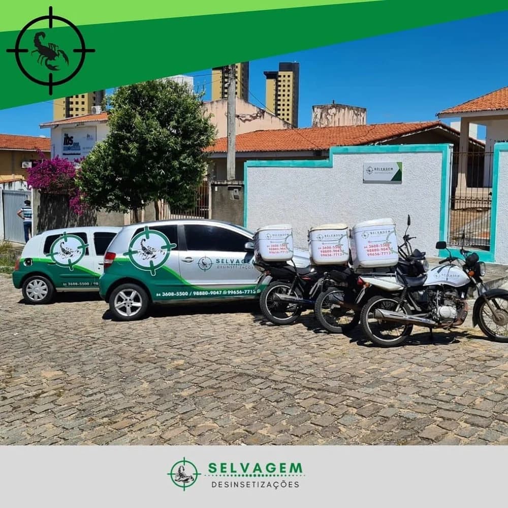 Selvagem Dedetizações e Serviços – foto 1