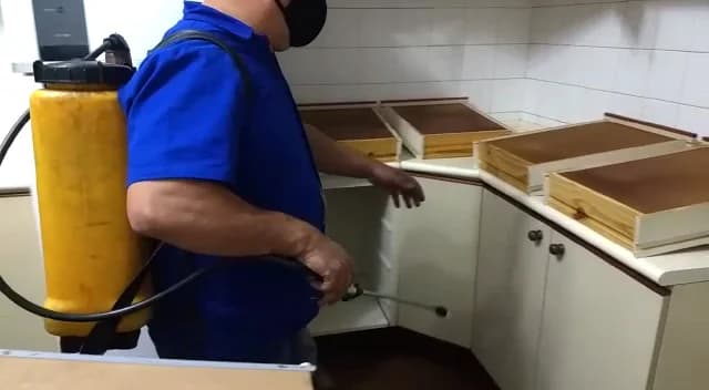 Santana Dedetizadora | Dedetização | Controle de Pragas – foto 2