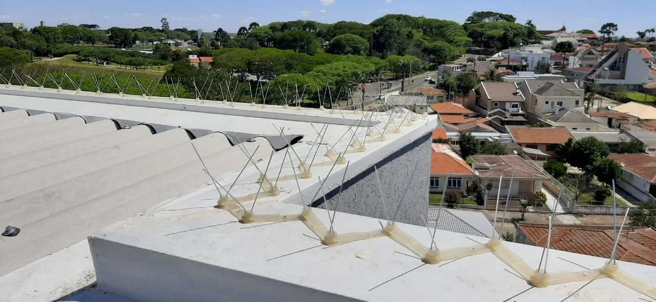 Dedetizadora em Curitiba | Premium Dedetizadora – foto 2