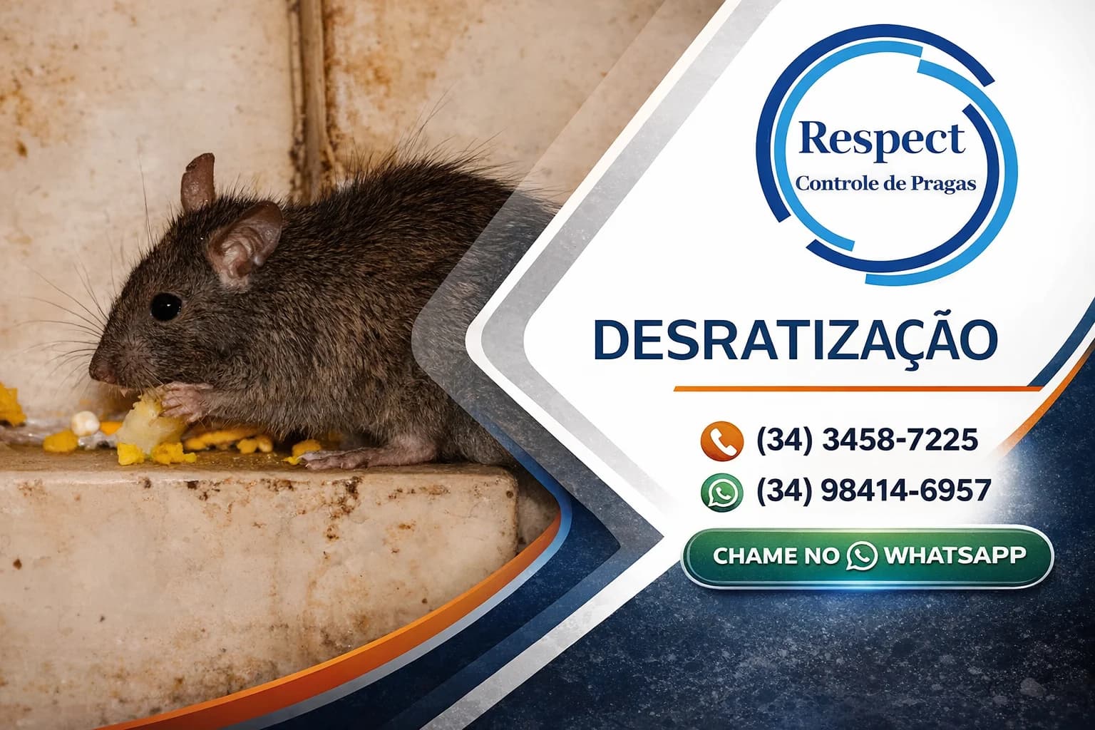 Respect Controle de Pragas Uberlândia – foto 2
