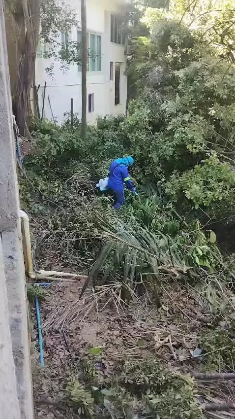 TJA SERVICE - CONTROLE DE PRAGAS URBANAS DEDETIZAÇÃO SANITIZAÇÃO LTDA – foto 2