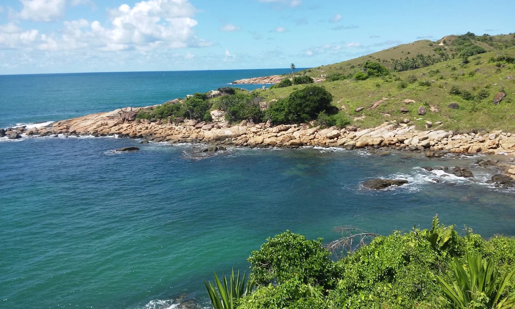 Pernambuco Controle de Pragas e Serviços – foto 2