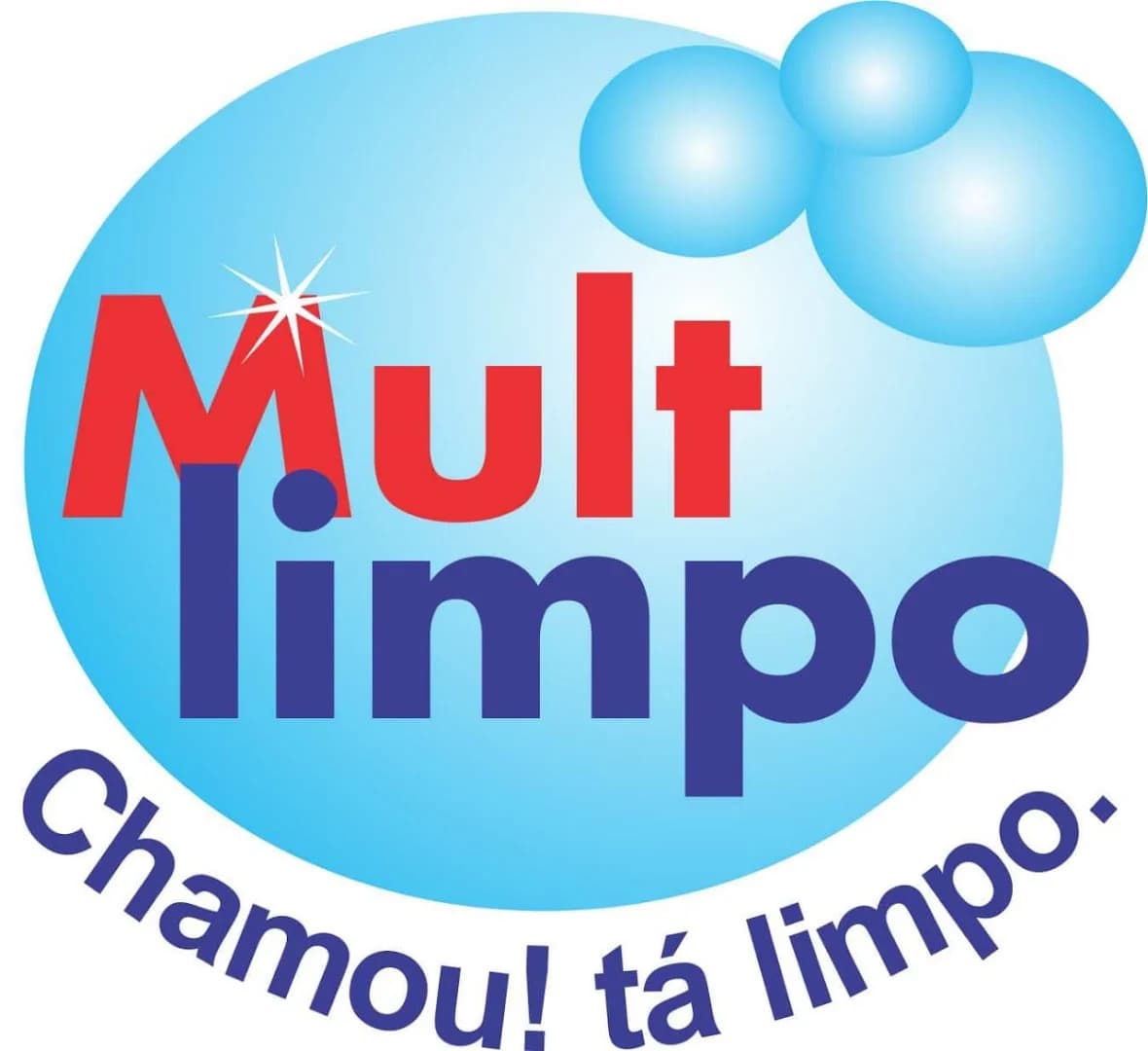 Multlimpo Desinsetizadora – foto 2