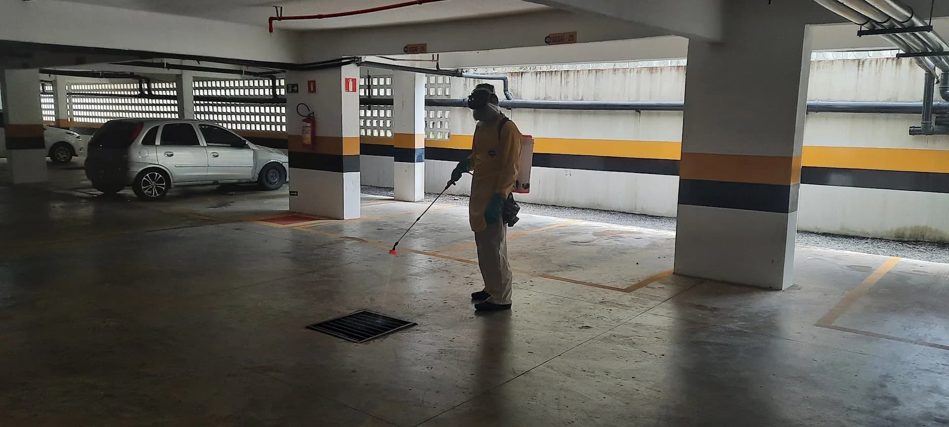 Dedetização - Detetec Controle de Pragas – foto 1