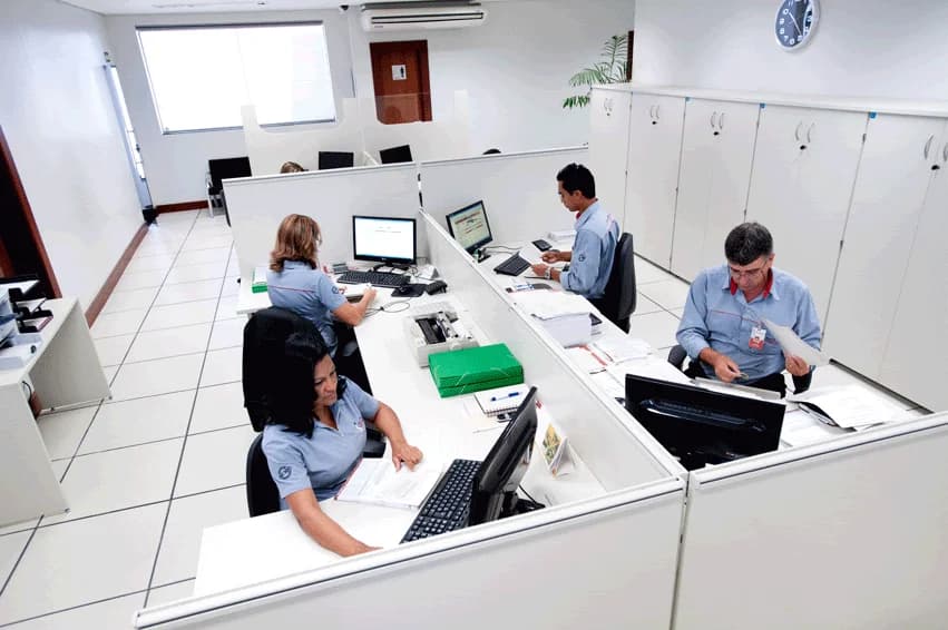 Dedetizadora Insetan – foto 2