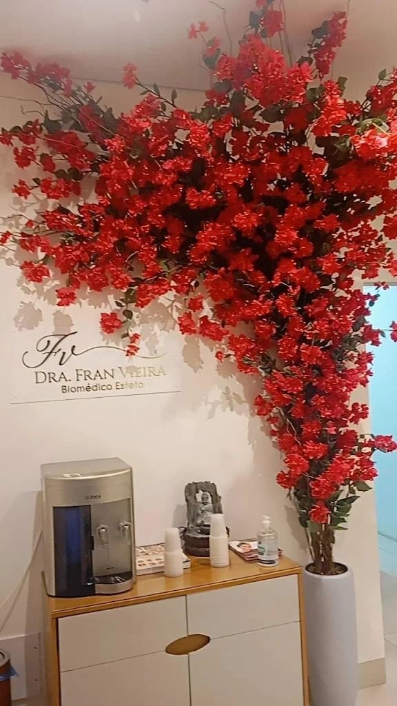 Clínica de Estética Dra. Fran | Harmonização Facial, Corporal e Botox – foto 1