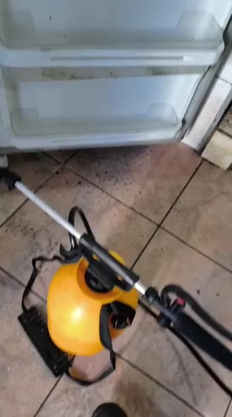 ECEL Dedetização – foto 2