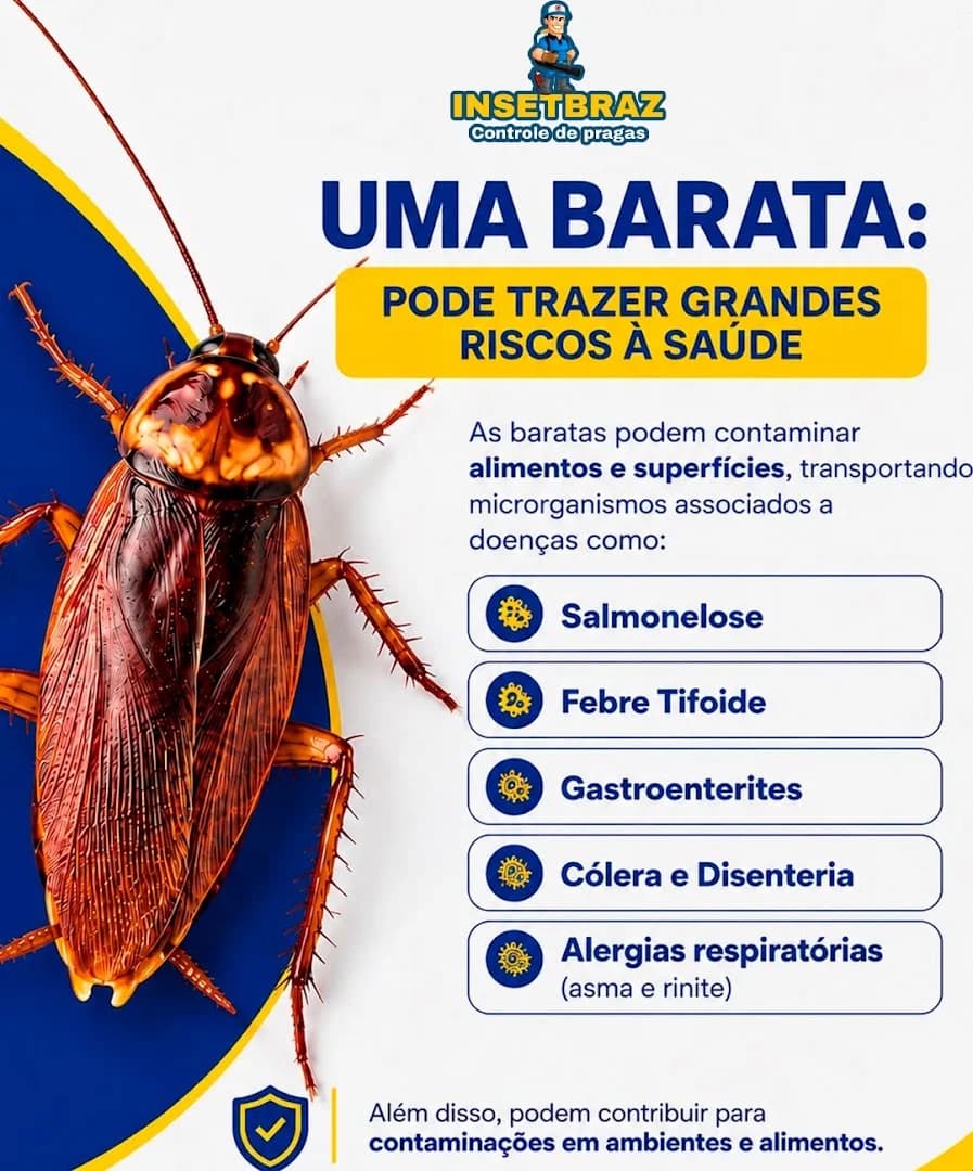 Insetbraz Dedetizaçao e Conservaçao-ME – foto 1
