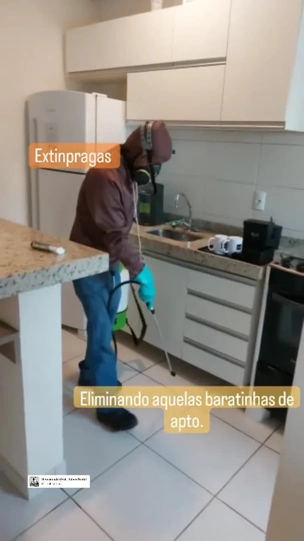 Extinpragas dedetizadora – foto 2