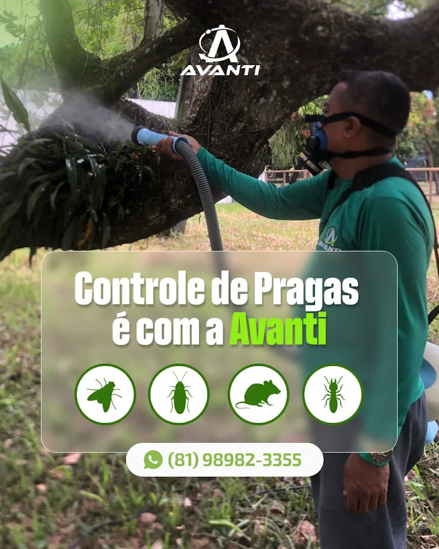 AVANTI | Dedetização Recife – foto 3
