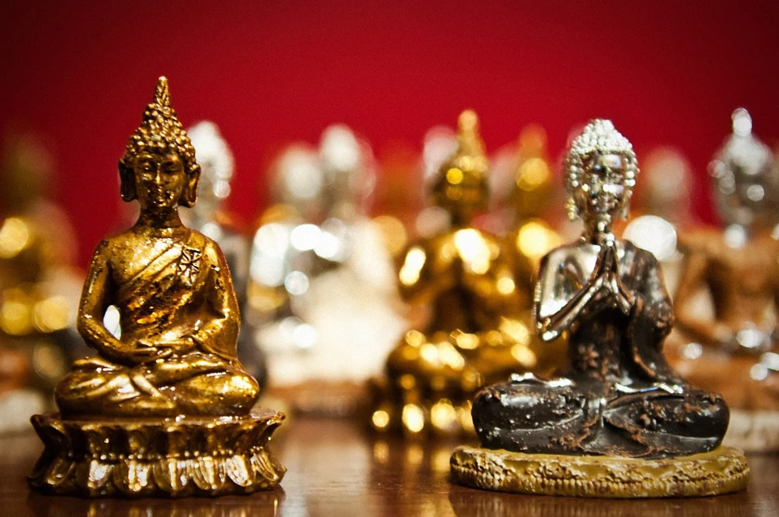 Buddha Spa Santo André Jardim – foto 1