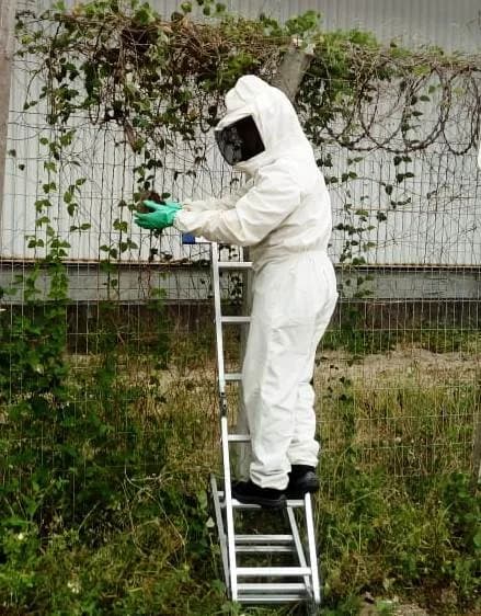 R & F Saúde Ambiental – foto 2