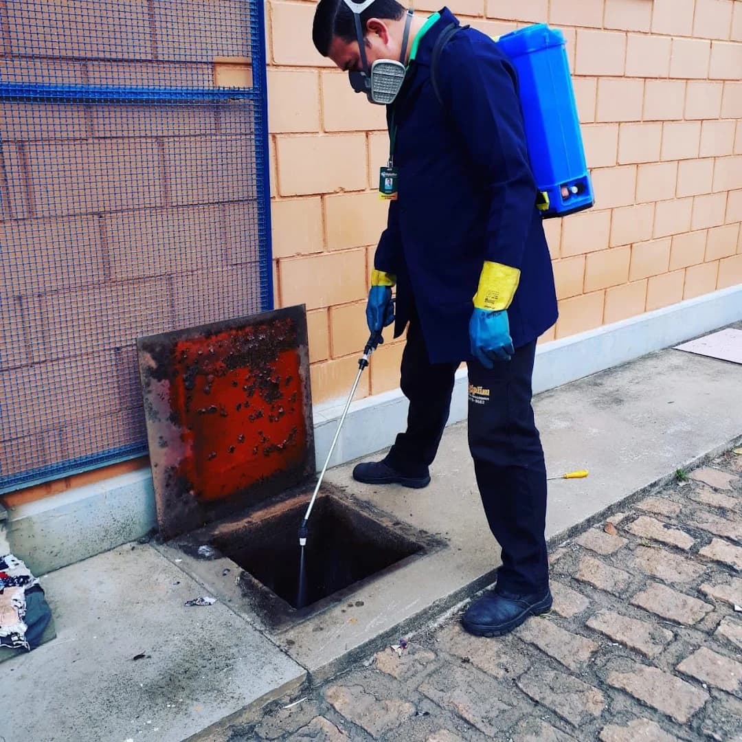 Higiplim Dedetizadora Controle de Pragas – foto 2