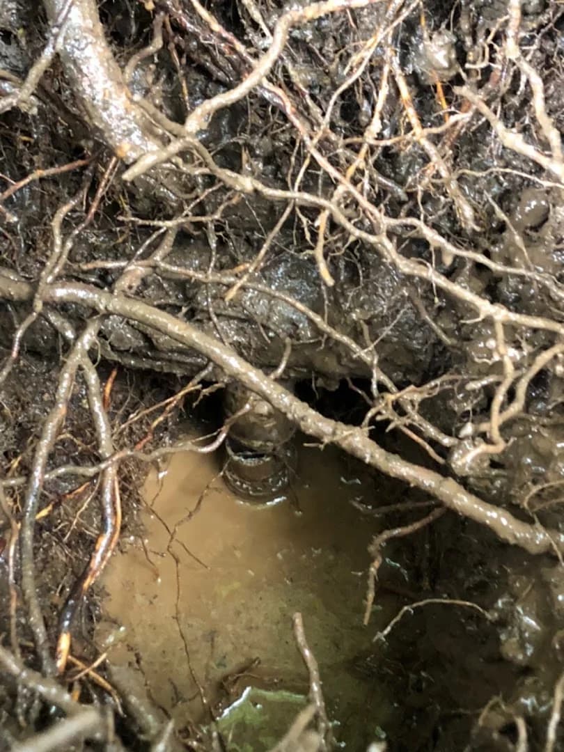 100Vazamento - Caça Vazamentos e Serviços Hidráulicos – foto 1