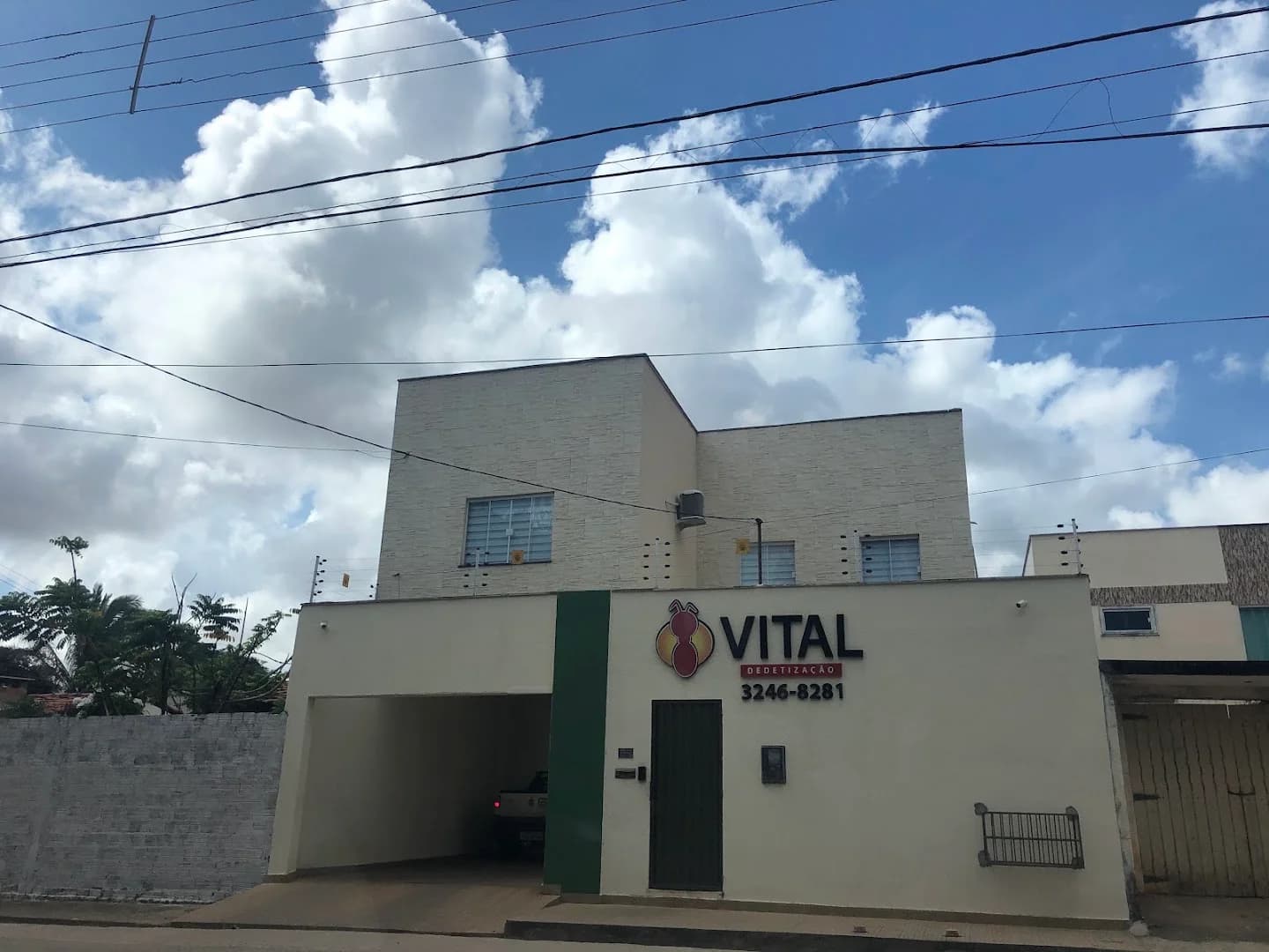 Vital Dedetização – foto 3