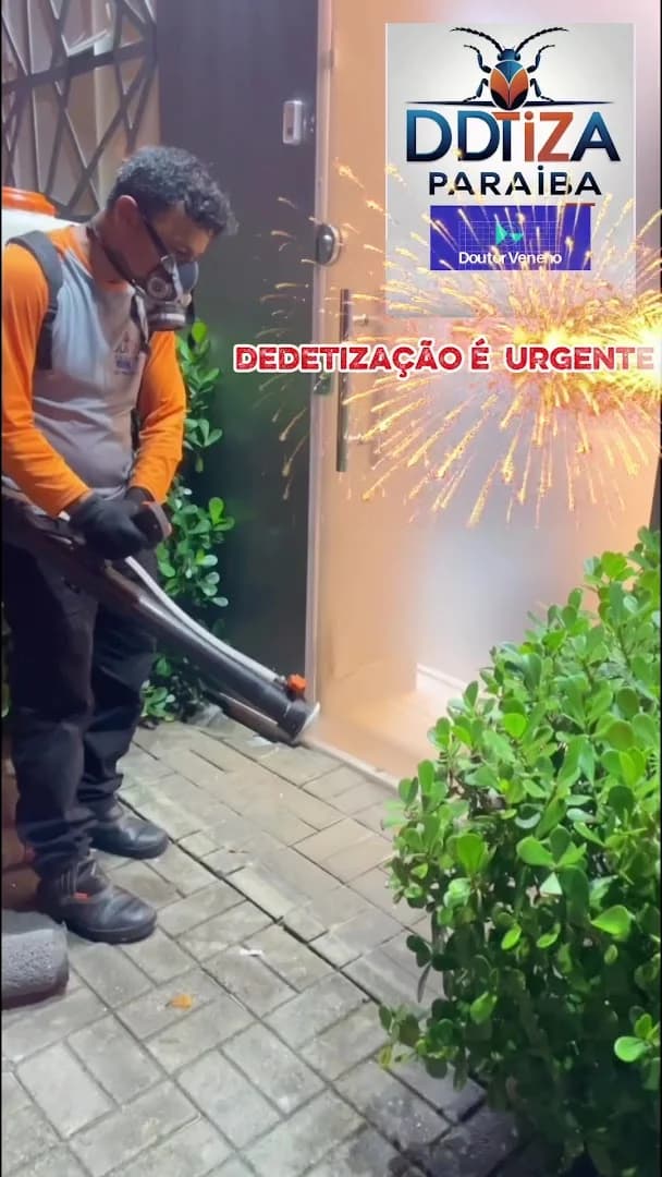 DDTIZA PARAIBA – foto 1