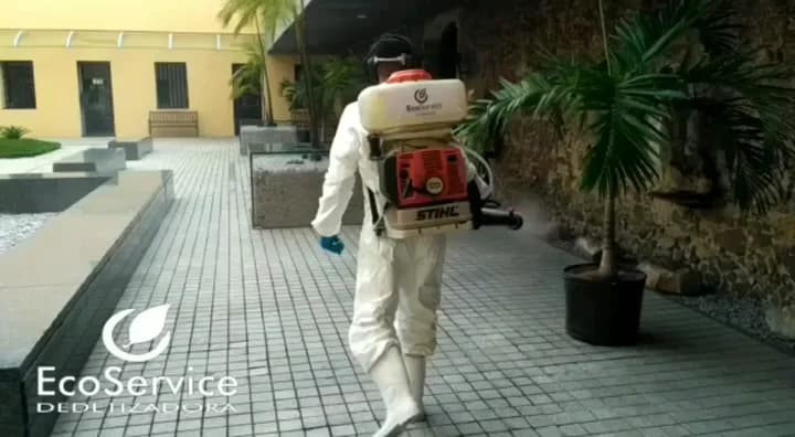 Ecoservice Dedetização – foto 2