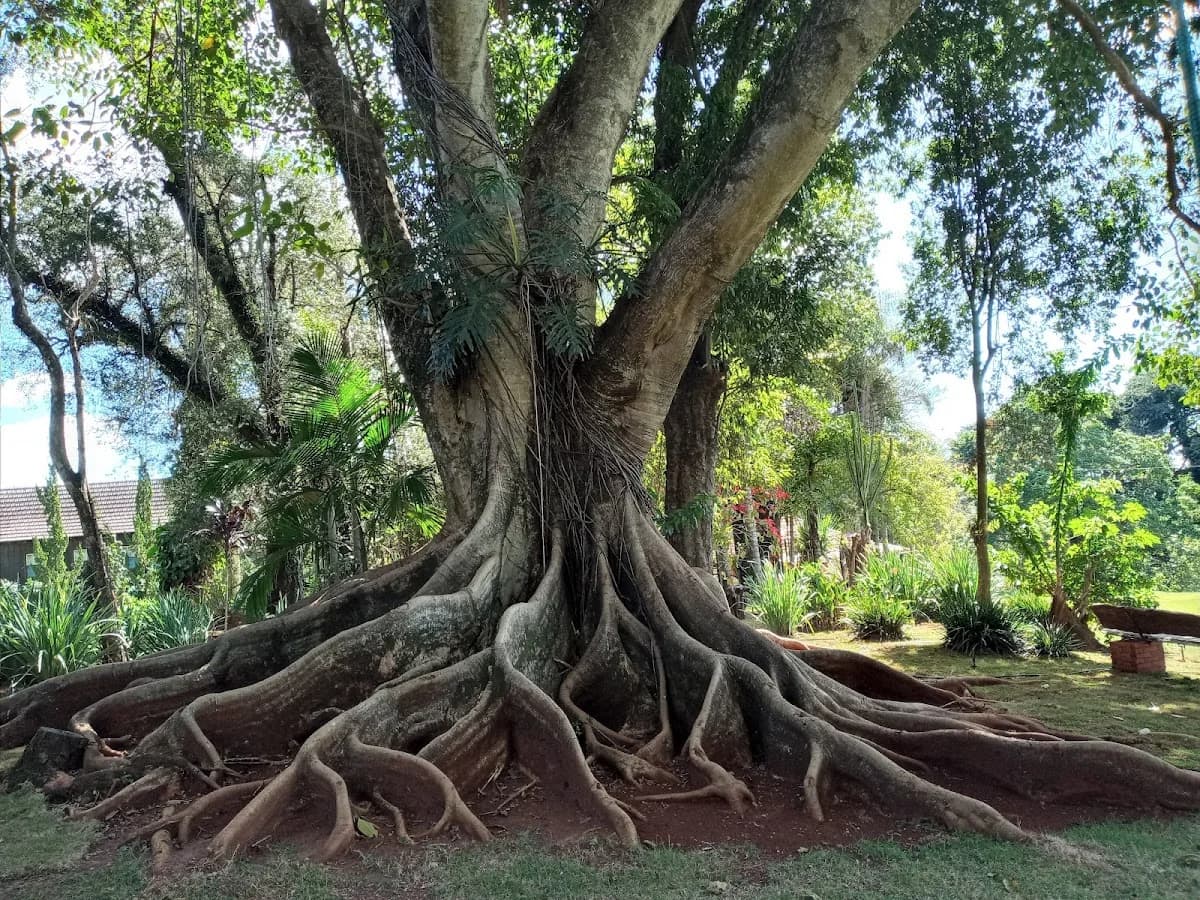 Spa Recanto das Figueiras – foto 2