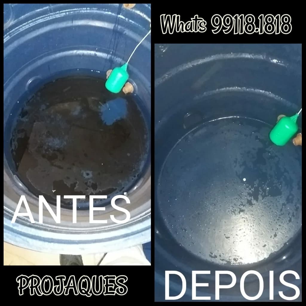Controle de Pragas – foto 3