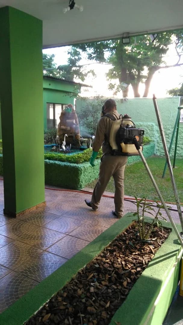 Dedetização | Hidroprag Dedetizadora e Desentupidora | Limpeza de Caixas d'Água – foto 1