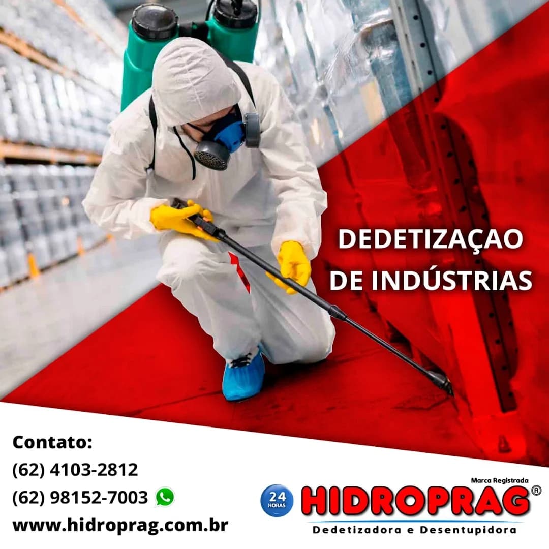 Dedetização | Hidroprag Dedetizadora e Desentupidora | Limpeza de Caixas d'Água – foto 2