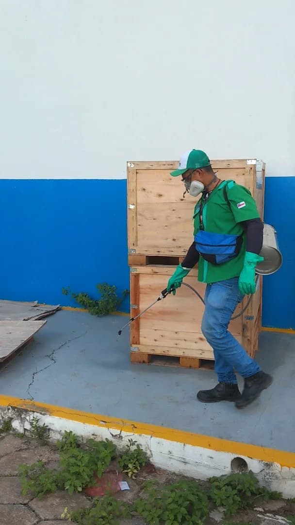 Power Controle de Pragas – Dedetizadora em Manaus – foto 2
