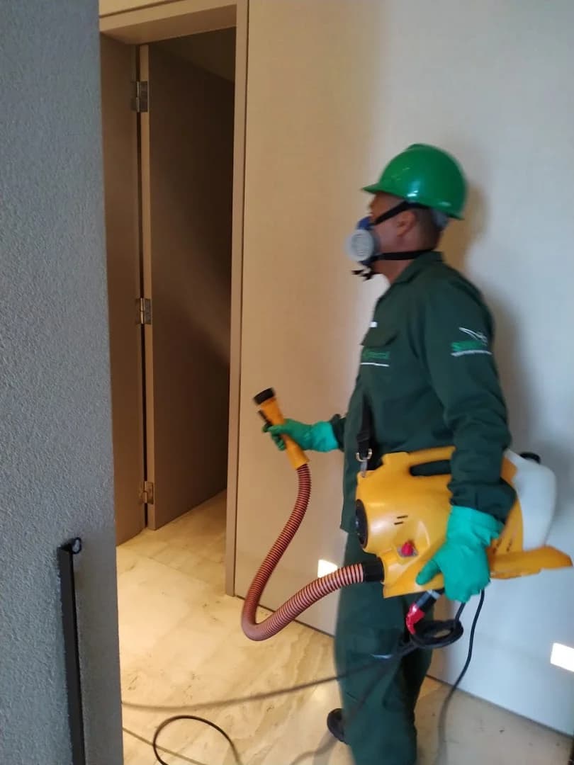 Detecta Dedetizadora Campinas – foto 1