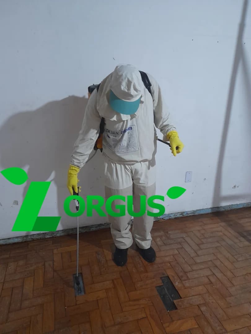 Lorgus – foto 2
