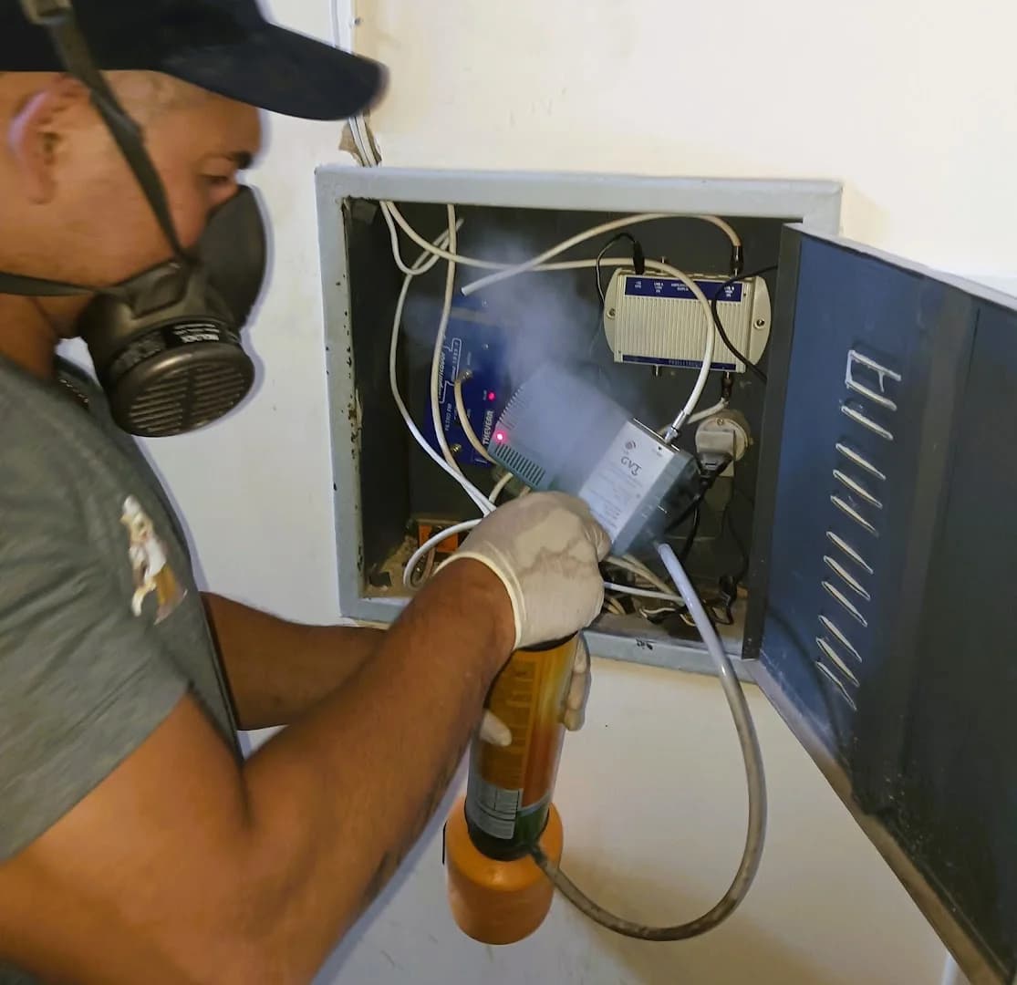 Assistec Dedetizadora BH | Orçamento rápido! – foto 1