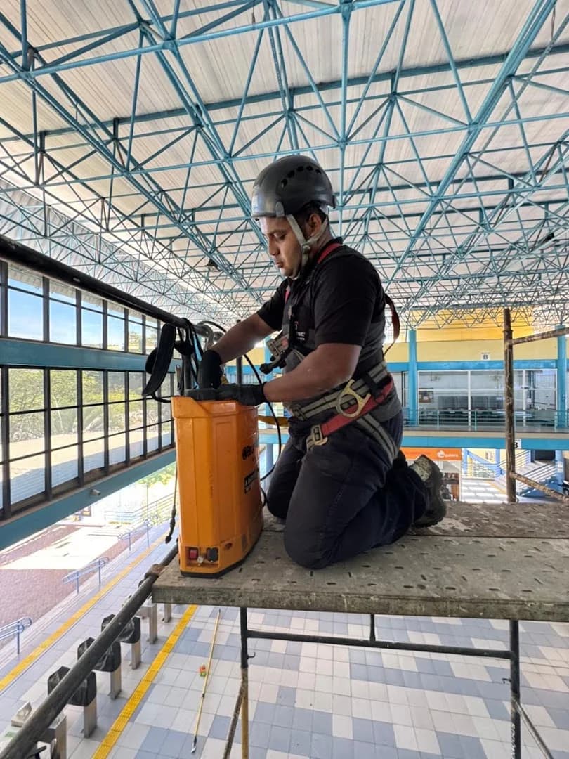 Dedetização Sorocaba | Dedetizadora Segtec – foto 2