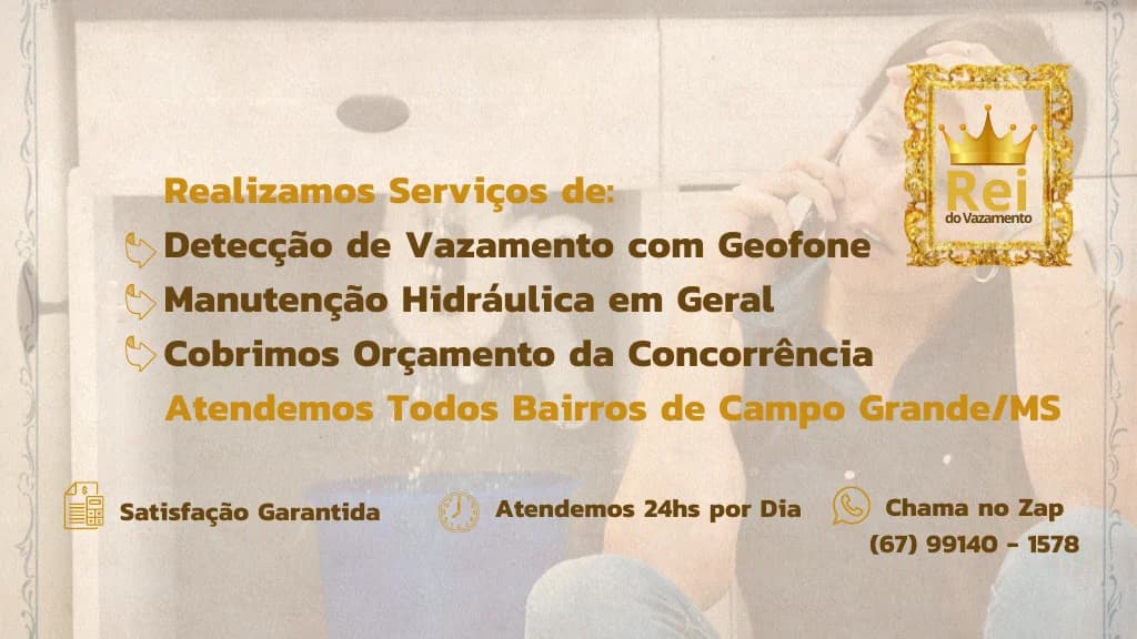 Rei do Vazamento – foto 1