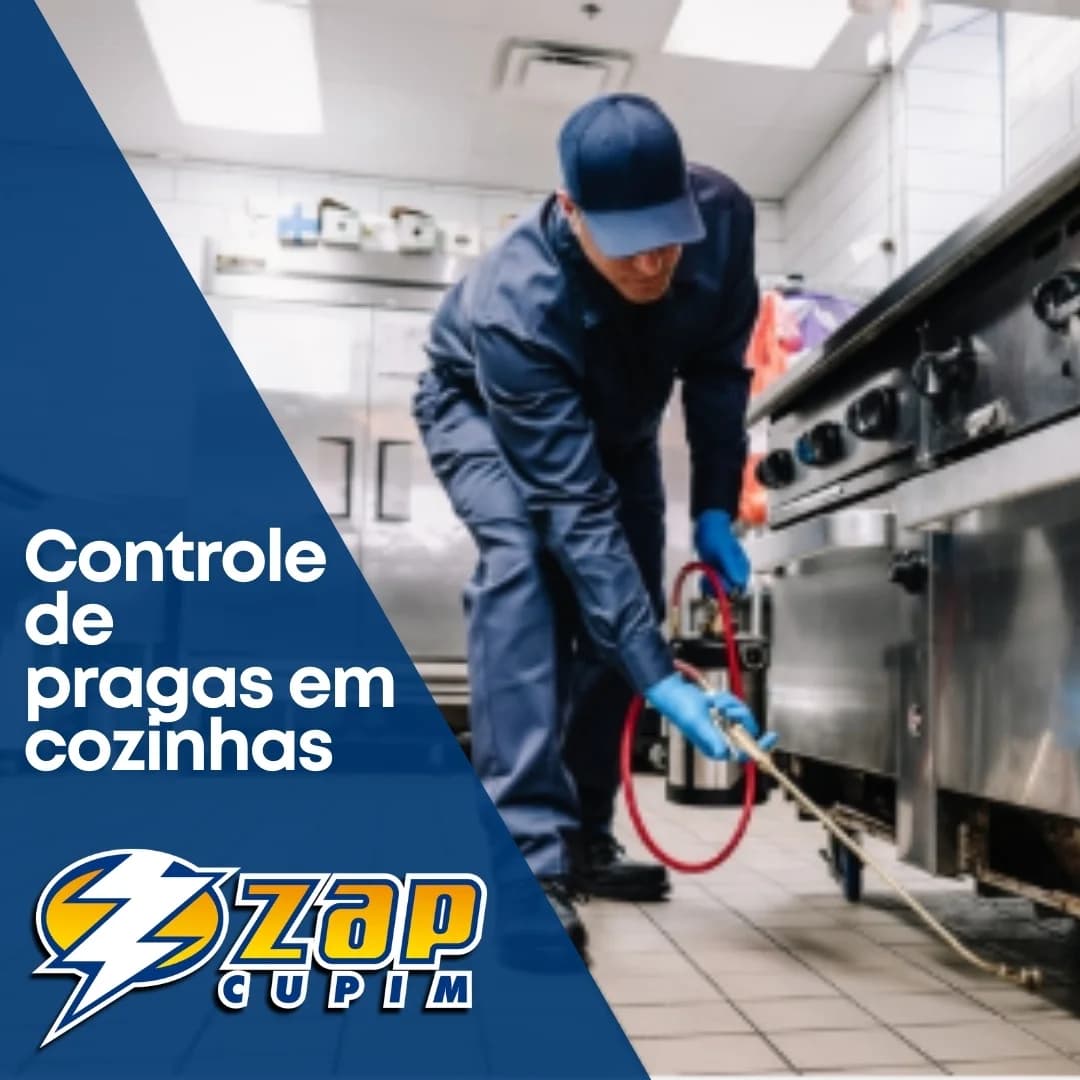 Dedetizadora Porto Alegre - Zap Cupim – foto 2