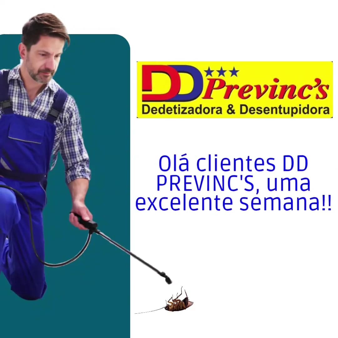 DD Previnc's – foto 2