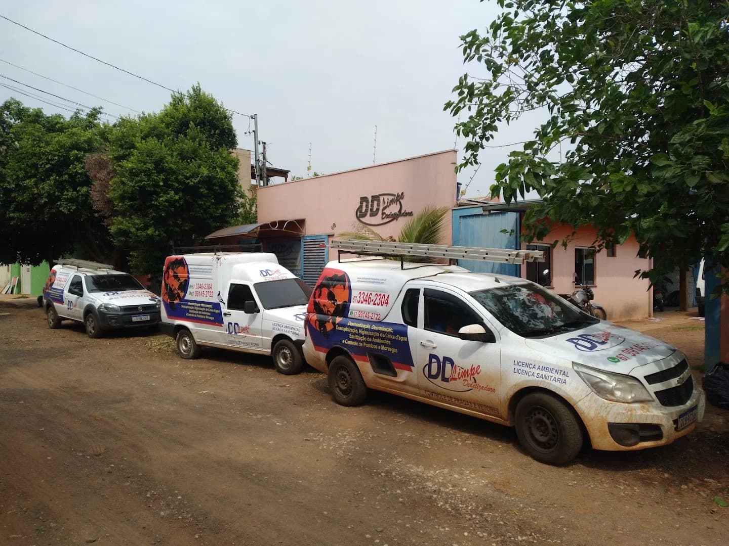 D D Limpe Dedetizadora – foto 1