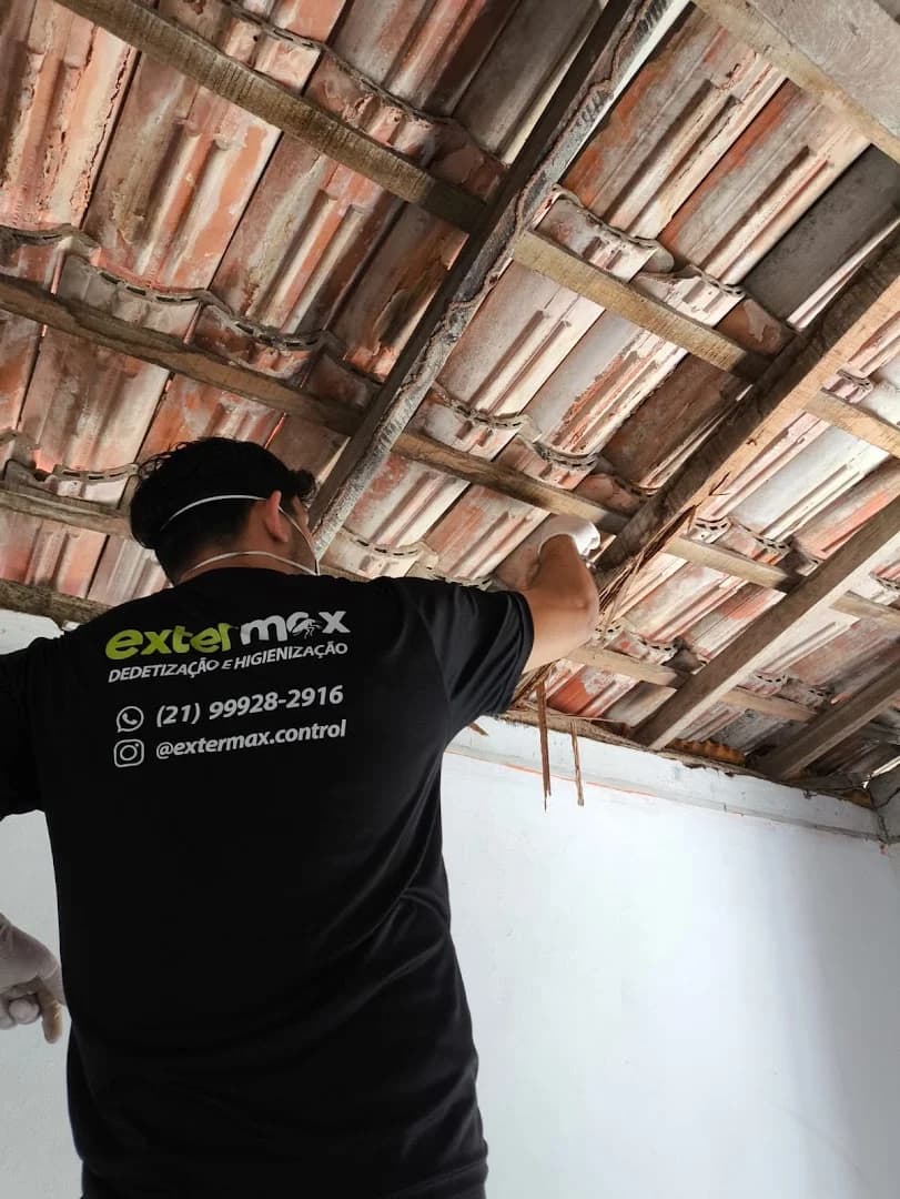 Extermax Dedetizadora em São Gonçalo – foto 2